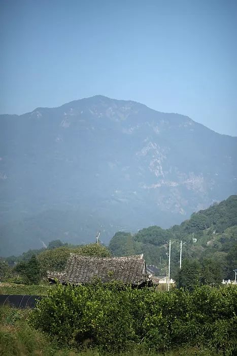 永嘉行走横溪村