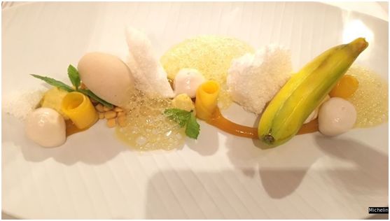 2020������������ֲ�������ȥ�����ң�