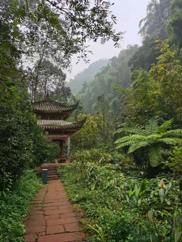 眉山青神县中岩寺游