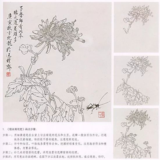 中国国画白描花卉的绘画技法