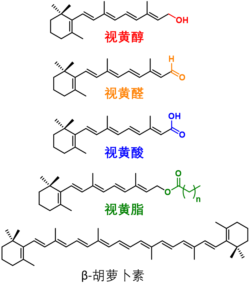 在维生素a的大家族中,主要有两拨成员,其一是具有维生素a活性的视黄醇