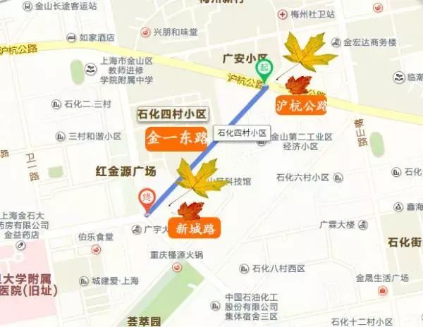 惠生活地图来啦上海部分道路今天起落叶不扫
