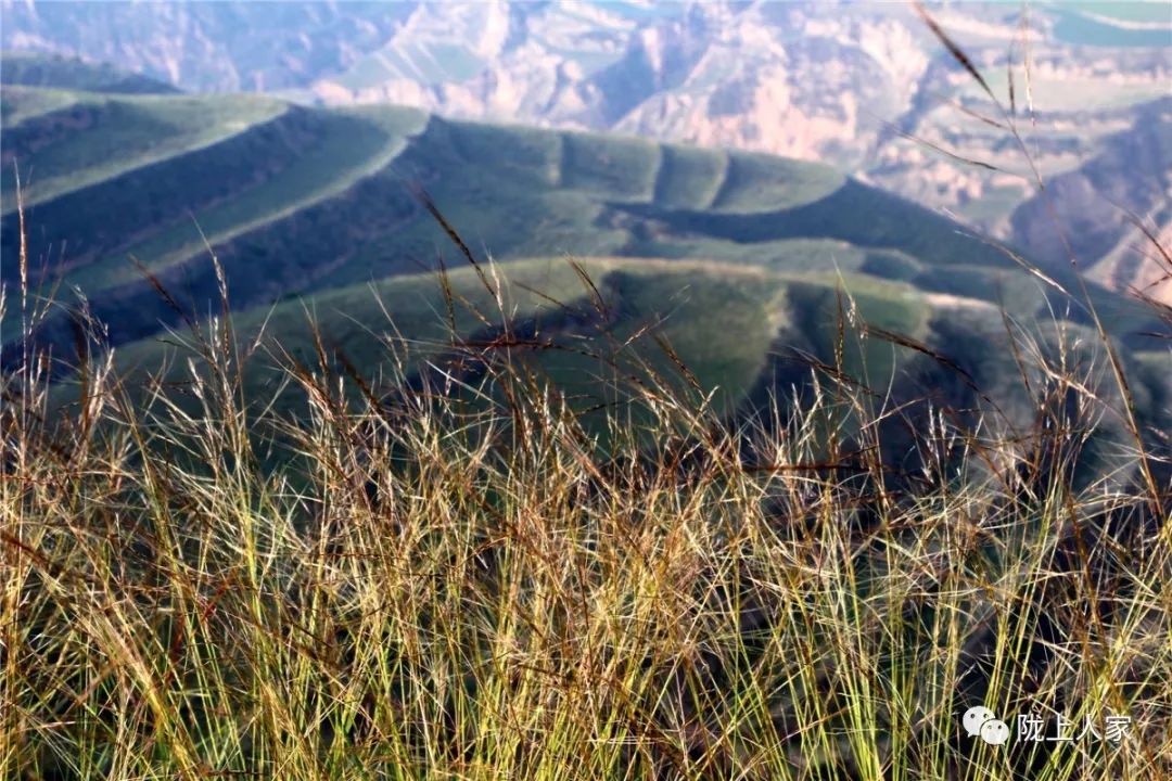 我家住在黄土高坡简谱_我家住在黄土高坡(2)