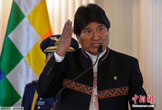 玻利维亚“继任者”力阻辞任总统莫拉莱斯再参选