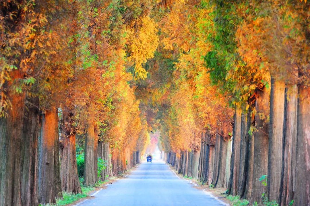 树叶飘在水面上 5223daf35aac4b989c50c7d86753d41d.jpeg