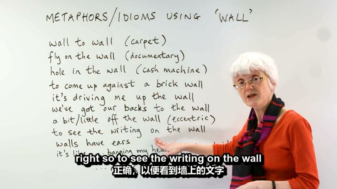 wall是什么意思