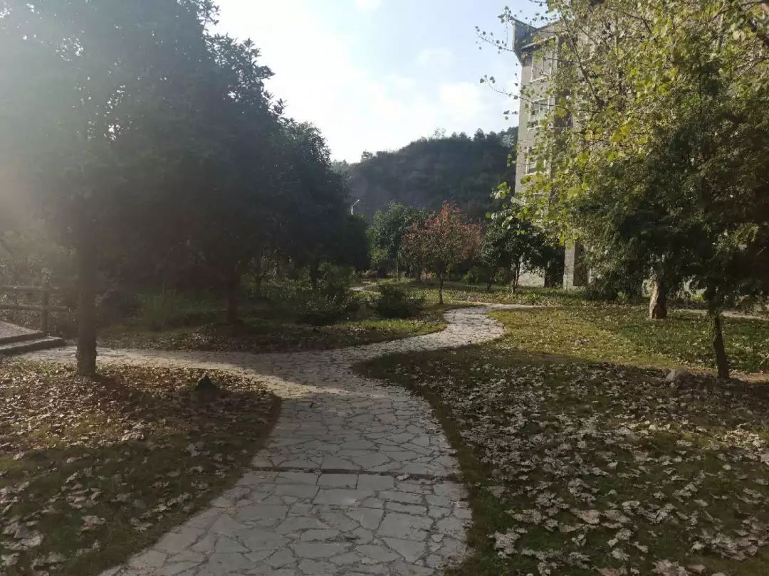 楼湖猜成语_看图猜成语(3)