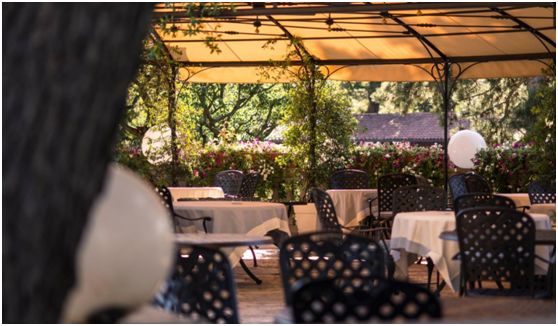 2020������������ֲ�������ȥ�����ң�