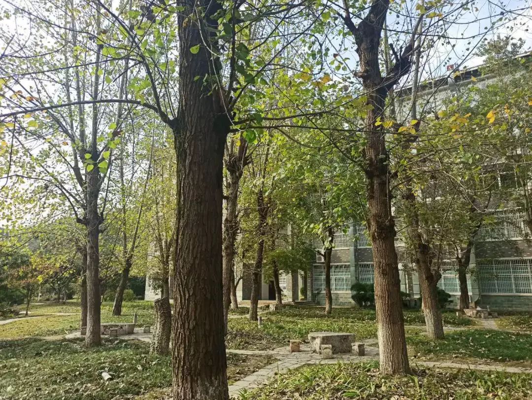 楼湖猜成语_看图猜成语(3)