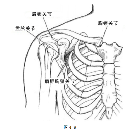 92137b36bf9546dca04e6670e7261b66.png
