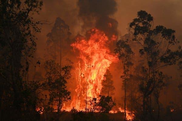 澳大利亚东部仍有13处山火未控制一男子高原纵火被起诉