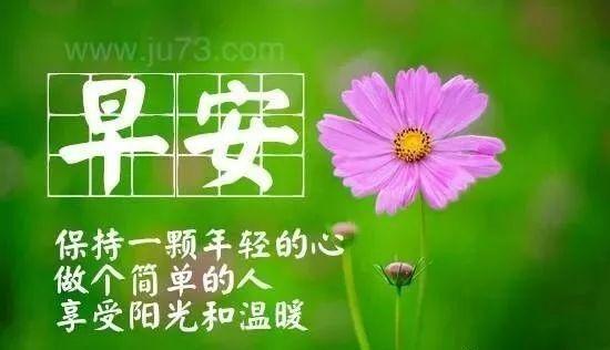 9e5923cc686149b7a29f0ccad57f8713.jpeg