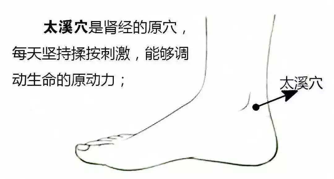 a7279874ac314c0da1ea375c6b05359a.jpeg