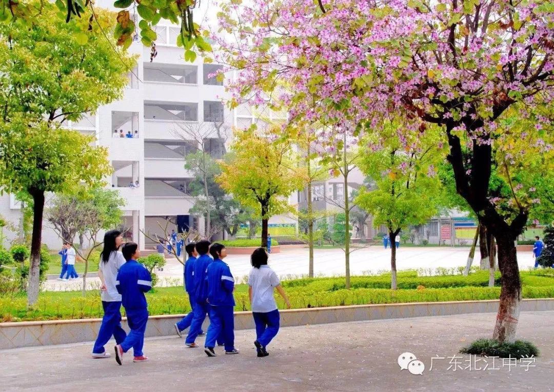 广东北江中学前身为创办于1939年的志锐中学,校园建设具有园林和现代