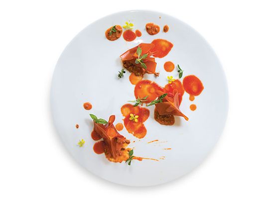 2020������������ֲ�������ȥ�����ң�