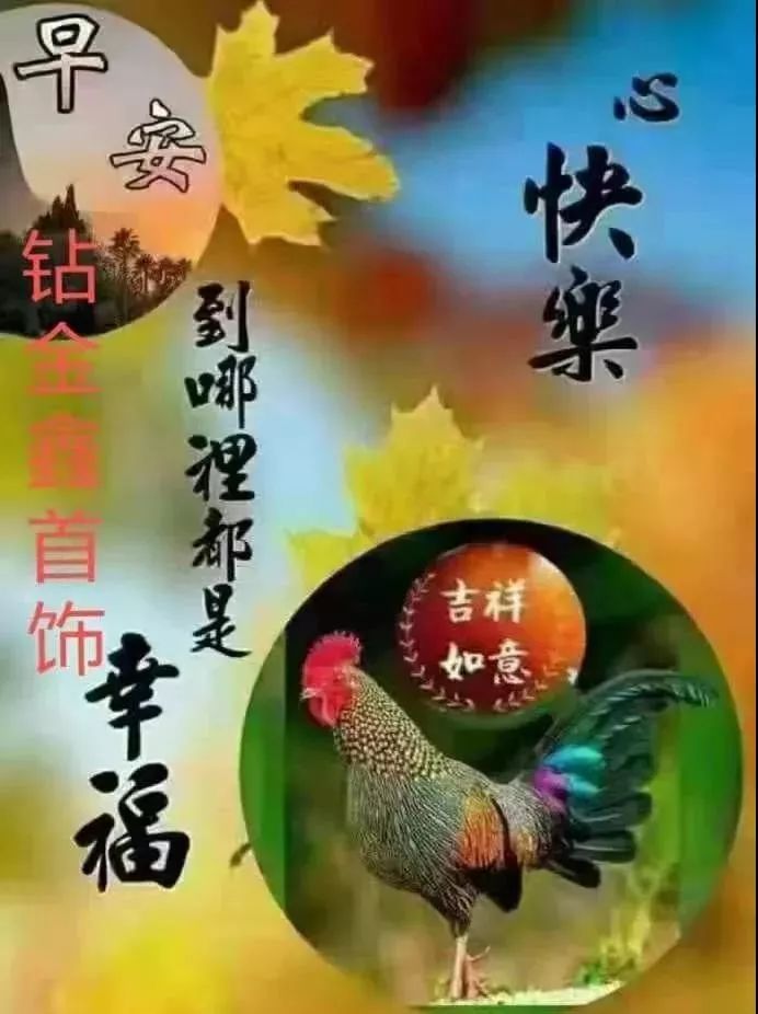 周六最新漂亮早上好动态美图鲜花带字,早晨好幸福暖心