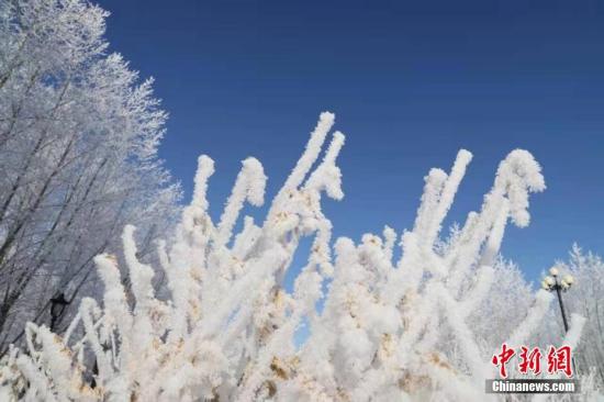 零下36.4℃内蒙古遭遇寒潮