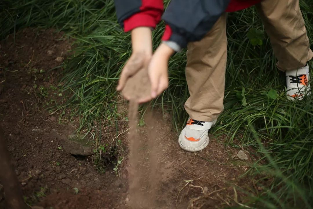 了家乡的泥土,共同种下一棵苍翠的松柏,以此作为少先队员成长的见证。