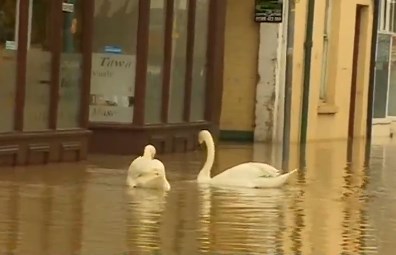 英国暴雨引发洪灾多地被淹