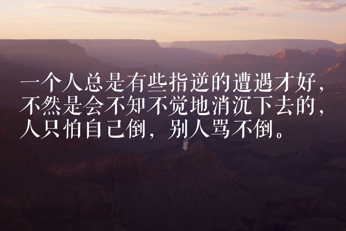 c4d238c6df204b149a630c218597abbf.jpeg