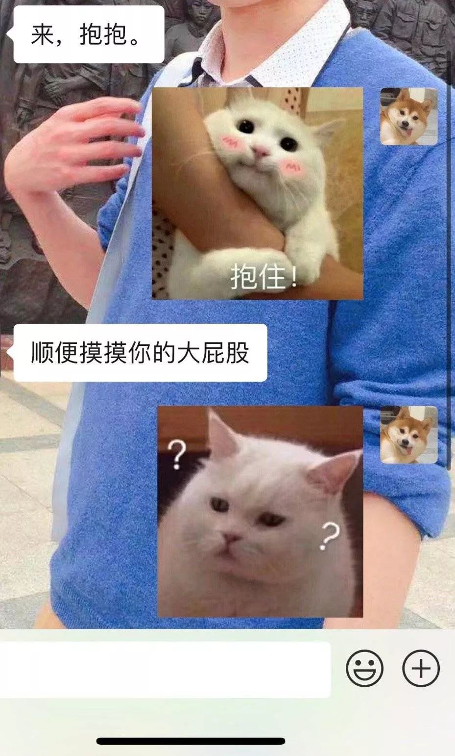 c7648475521d4bbeb0eeba78dd10f59c.jpeg