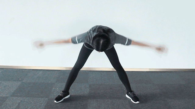 d8ba6654a3dd472fbb7589346eba1c86.gif