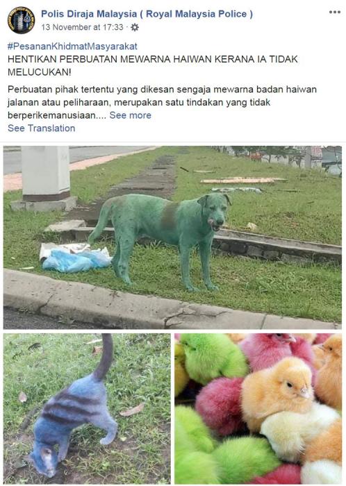 别再给动物染色！马来警方：不人道或危害生命