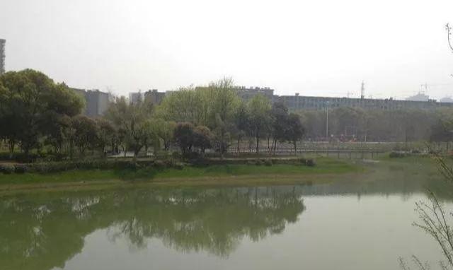 最新详情!南昌新建礼步湖公园发生命案,疑因情感纠纷