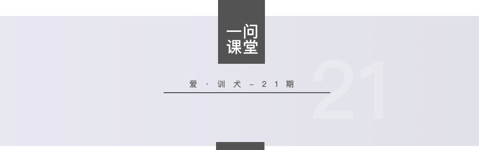 愛犬亂拉怎麼辦？4種方法教你訓練狗狗定點排便 寵物 第1張