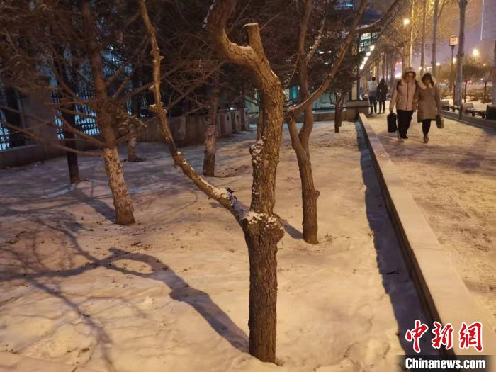 黑龙江启动暴雪应急响应预计5地市雪量将超20毫米