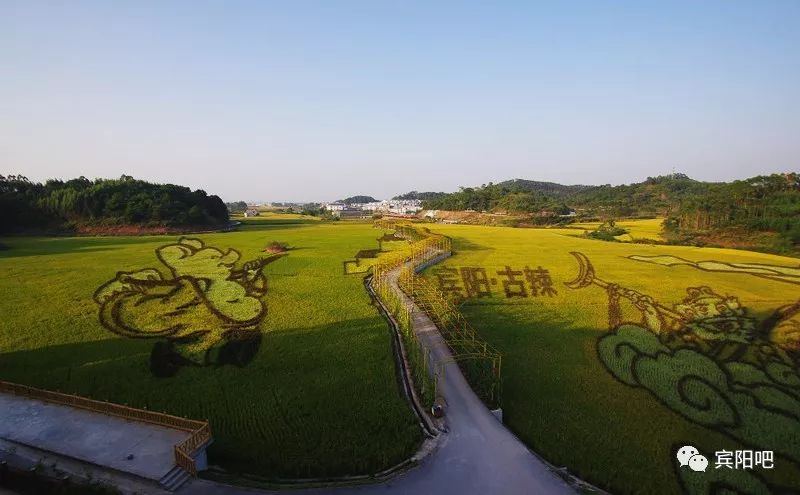 大片来袭宾阳这些地方的风景因为他们的到来更惊艳了