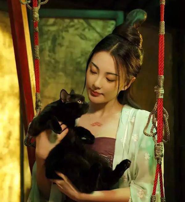 德川將軍後宮大奧裡的吸貓女，多數人養貓目的不單純 戲劇 第3張