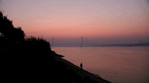 7253ec29dc554711a3c442d22b6b0b35.gif