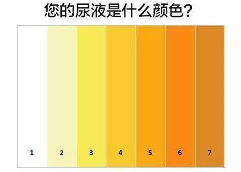 「健康育儿手册」孩子有这几个症状，那是免疫力在发出求救信号，身为家长的你知道吗？