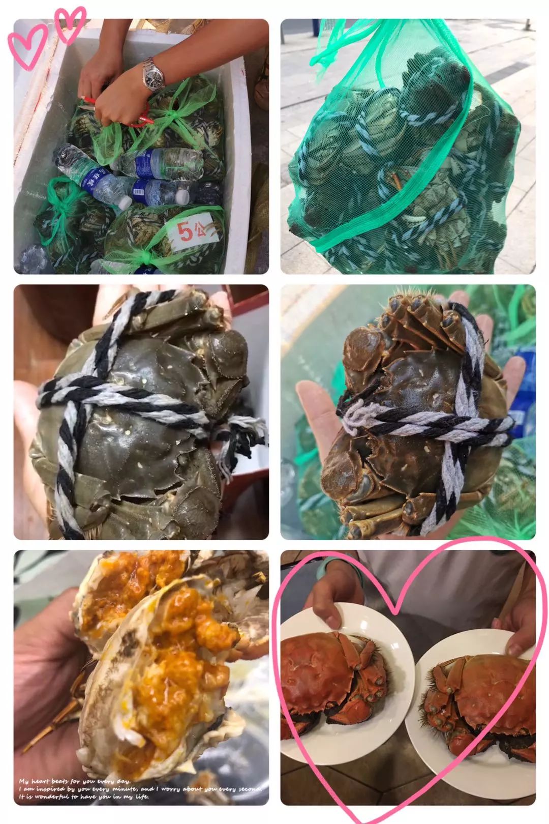 蟹到了即时严格挑选!以下系上一波实拍图!