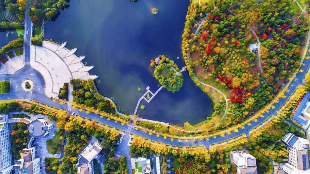 浙江各市2020年前5个_浙江龙盛2020年目标价