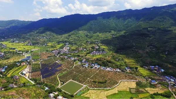 重庆北碚区总人口多少_重庆北碚区地图(2)