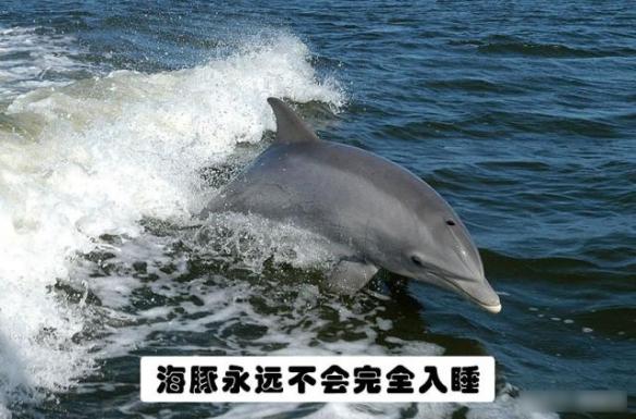b7446f7f30974a998dbbce57bc832aff.jpeg