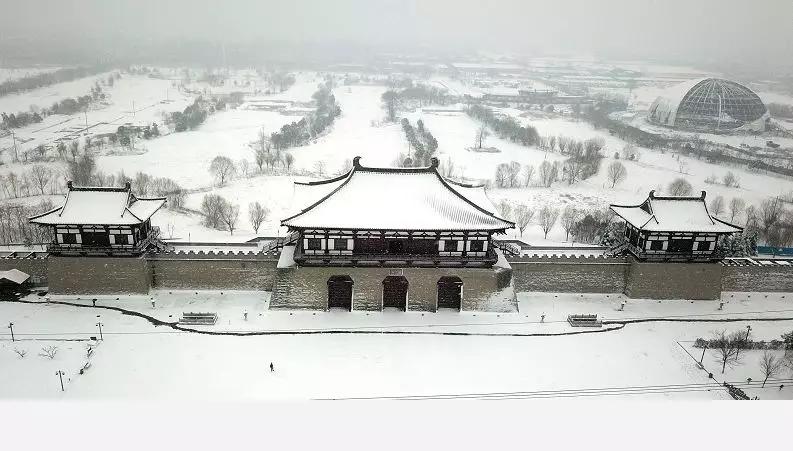 古城洛阳下雪了,2019你最想和谁一起玩雪呢?_雪景