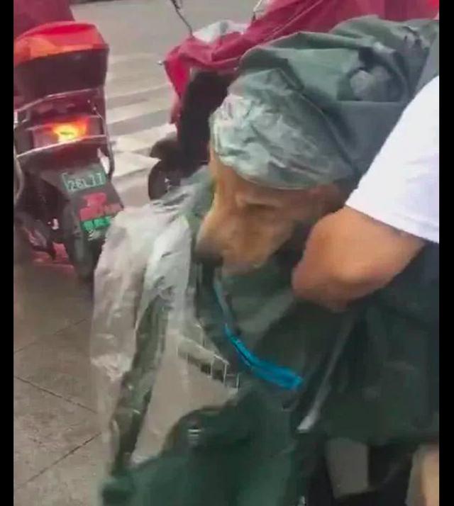 下雨了網友給金毛穿上雨衣，自己卻被淋著，主人：它洗次澡一百呢 寵物 第2張