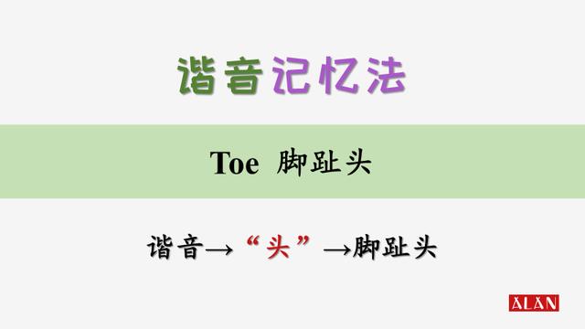 脚趾头:脚趾 toe!谐音记忆法,让背单词轻松