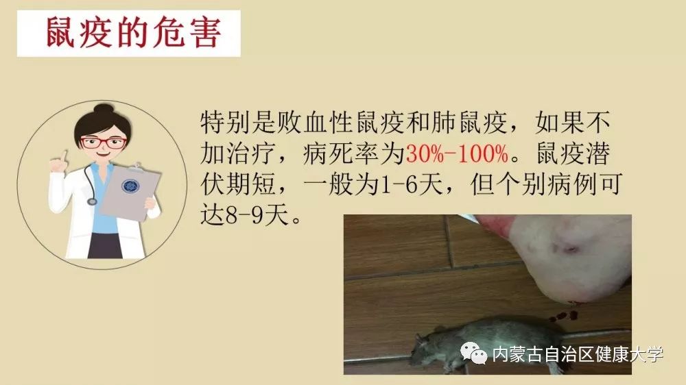 鼠疫可防可治，不必恐慌！