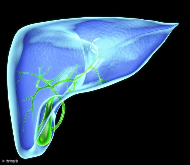 肝脏gdp高用啥药_肝脏位置