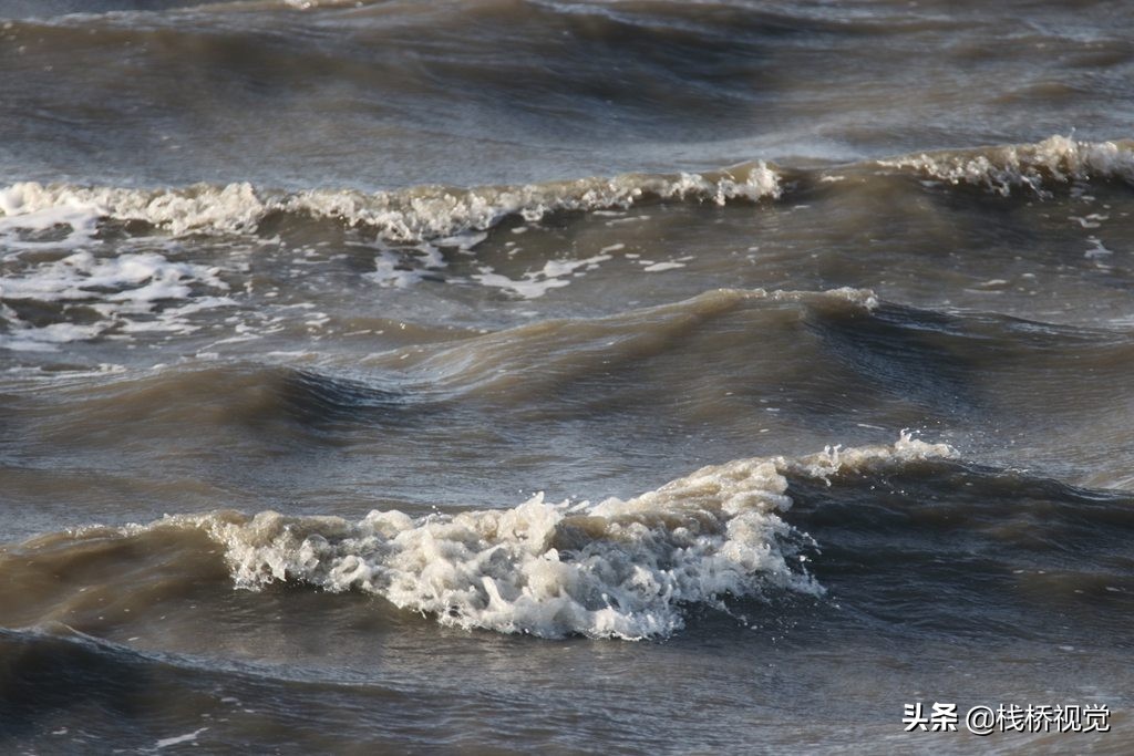 当日,大风将胶州湾近岸海底於泥翻起,近岸海水呈浑浊色,而远处海水则