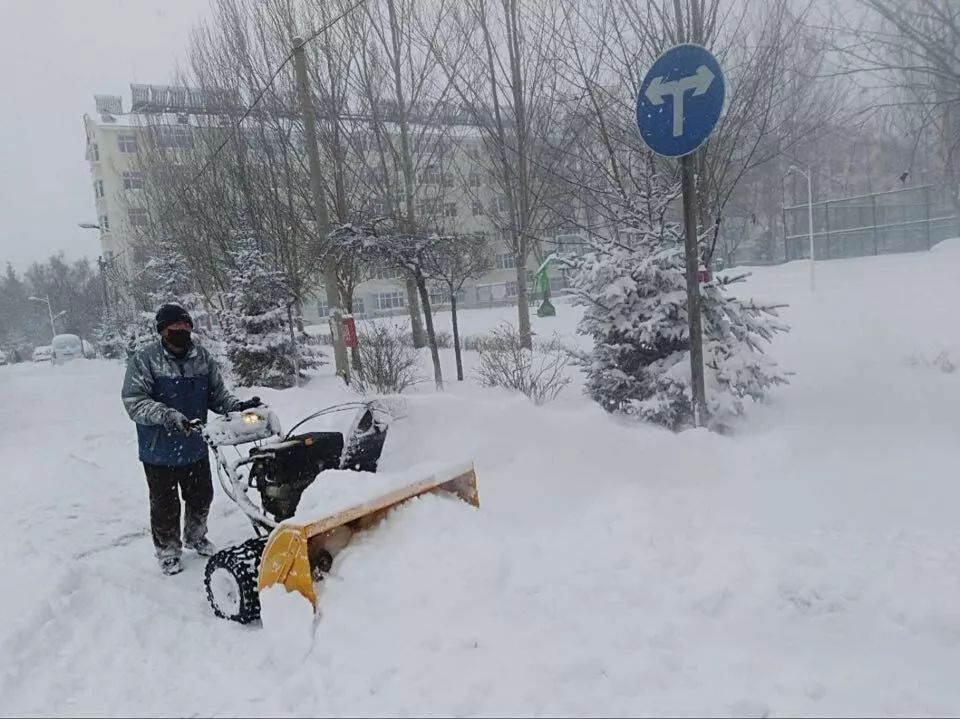 他们浴雪奋战霸气清雪