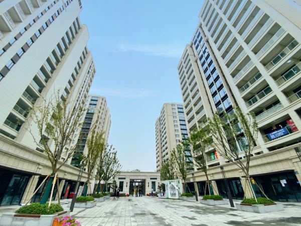 2020杭州流动人口_杭州流动人口居住登记(3)