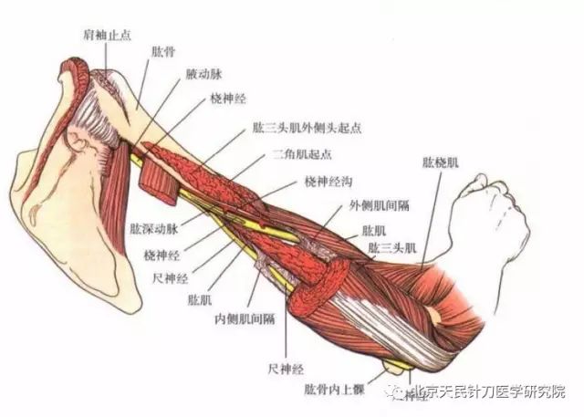 针灸伤到神经怎么办