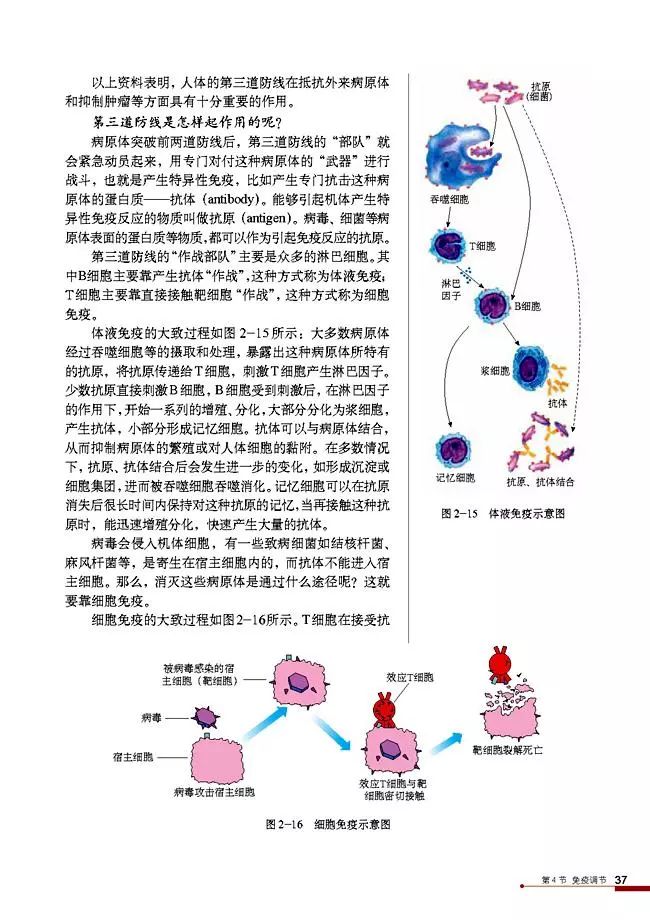 高二生物必修三电子课本（人教版）