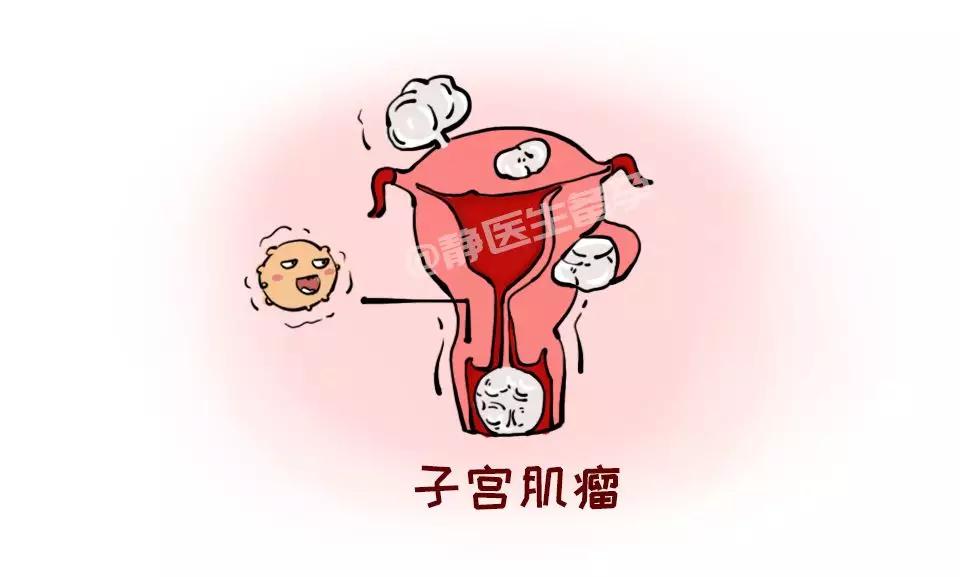 466c3b51c7f24581bdf48519cc01c7f1.jpeg