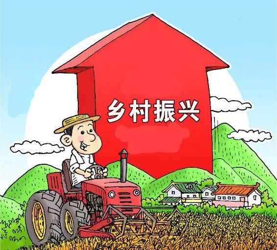 gdp考核乡村振兴_乡村振兴图片